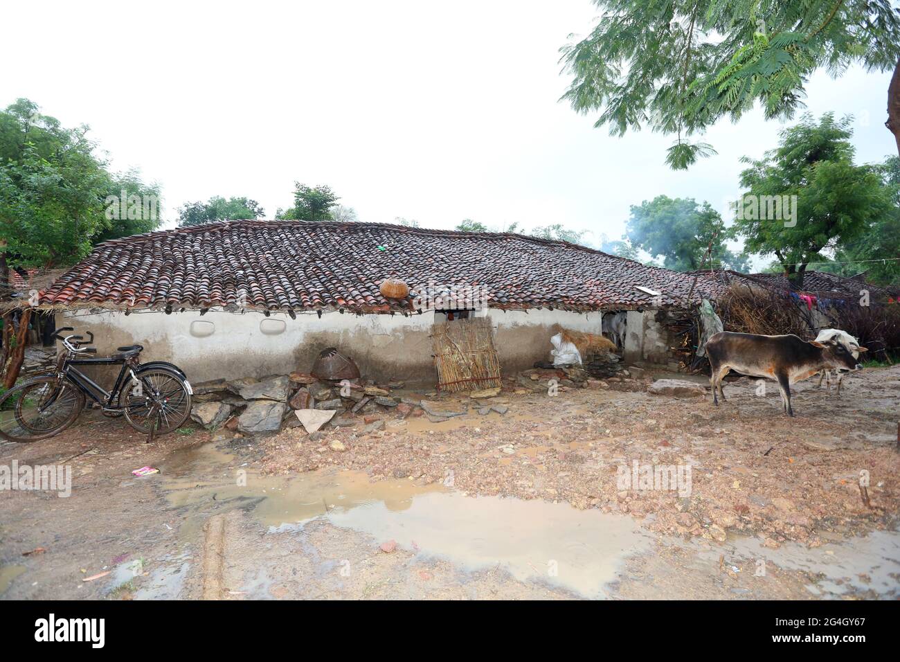 KOL-STAMM. Traditionelles Mud House. Bhanpur Village of Huzur Tehsil in Rewa Dist, Madhya Pradesh, Indien Stockfoto
