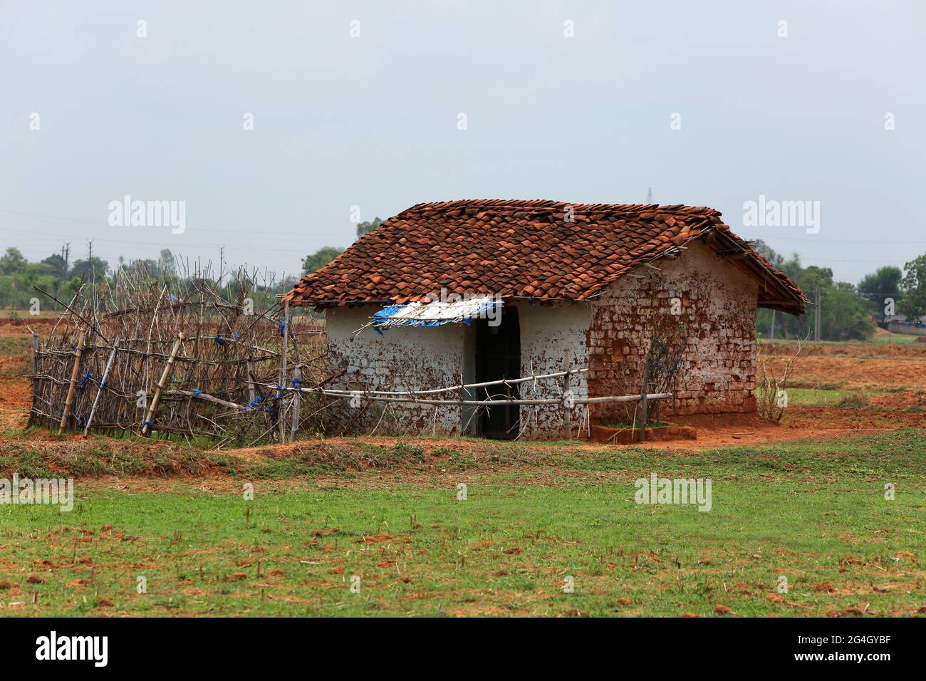 KOL-STAMM. Strohhaus aus Schlamm und Mangalore-Fliesen Bhanpur Dorf Huzur Tehsil in Rewa Dist, Madhya Pradesh, Indien Stockfoto