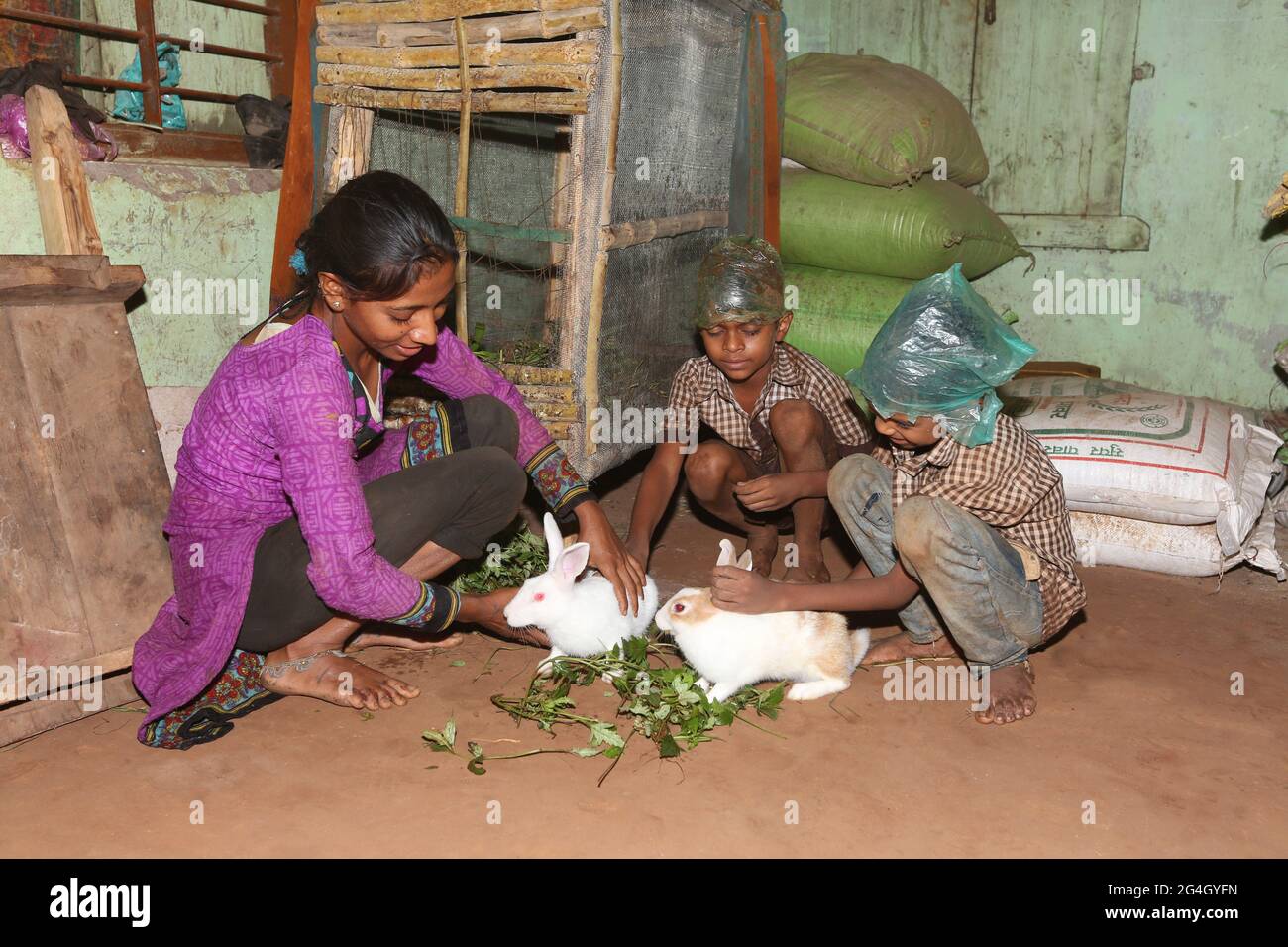 DHANKA TADVI STAMM. Tadvi bhil Kinder, die im Dorf Mogarapani mit Kaninchen spielen. Stockfoto