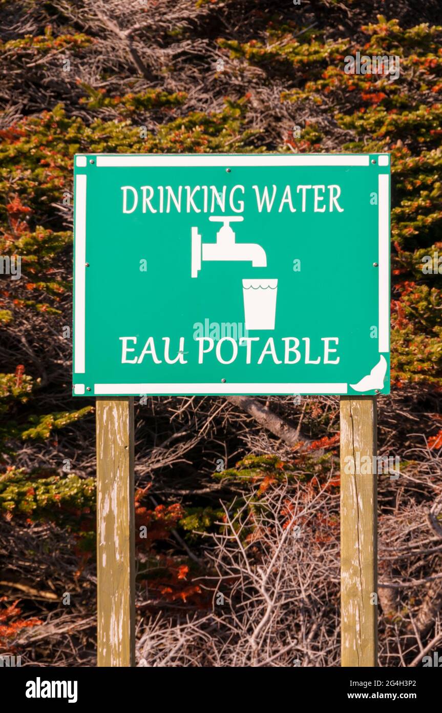 Ein zweisprachiges Trinkwasserschild auf einem Campingplatz in Neufundland, Kanada. Stockfoto