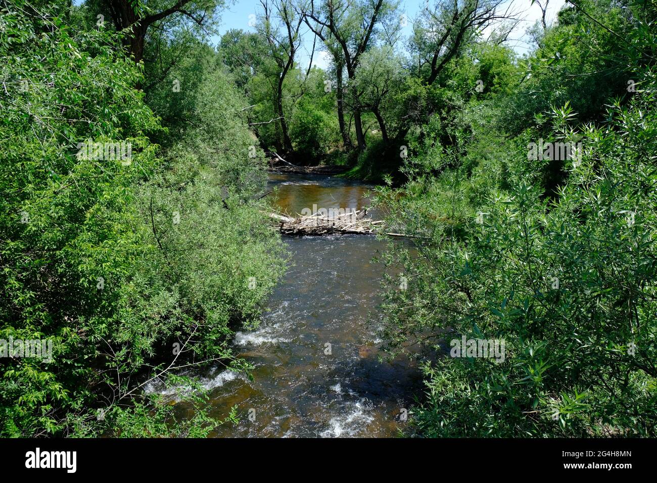 Schöner Trail, der durch Lakewood verläuft, hat einen langen Fluss mit kühlem Wasser, der sich während einer Hitzewelle im Sommer schön auf meinen Füßen anfühlte. Y Stockfoto