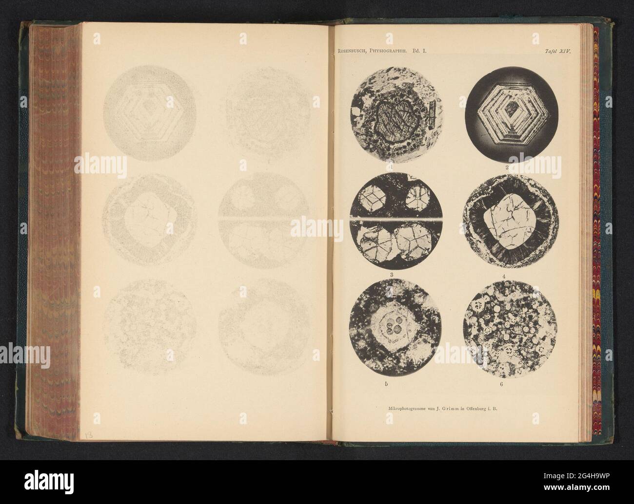 Sechs mikroskopische Vergrößerungen von Mineralien. Abbildung 1 ist Augit und Magnetit, 2, 3 und 4 ist Granat, 5 ist Leuzit und 6 ist Leuzit. Stockfoto