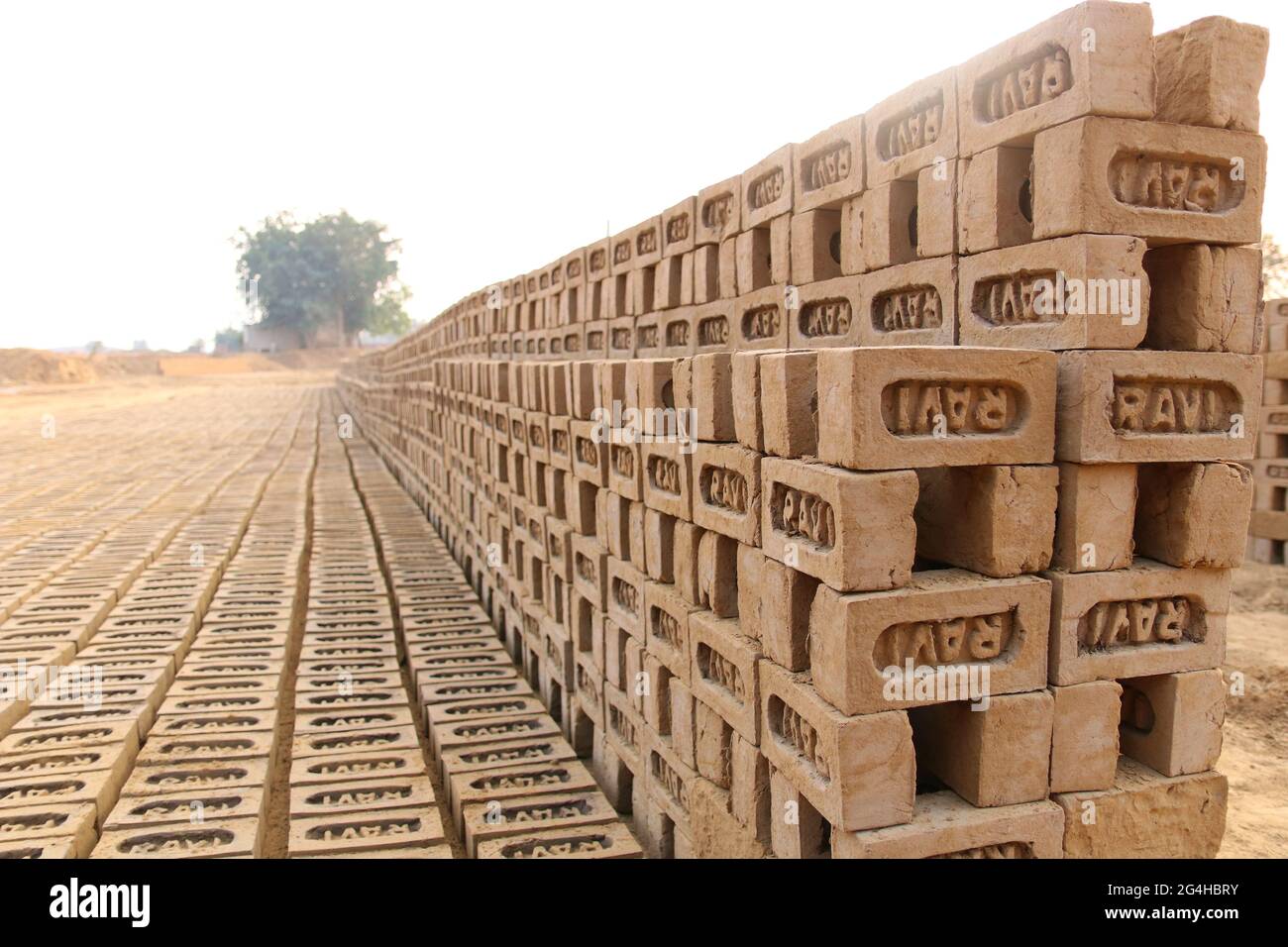 Rewari, Haryana/Indien - Herstellung von Ziegelsteinen. Roher Ziegel, der in Stapeln zum Trocknen ausgelegt ist. Stockfoto