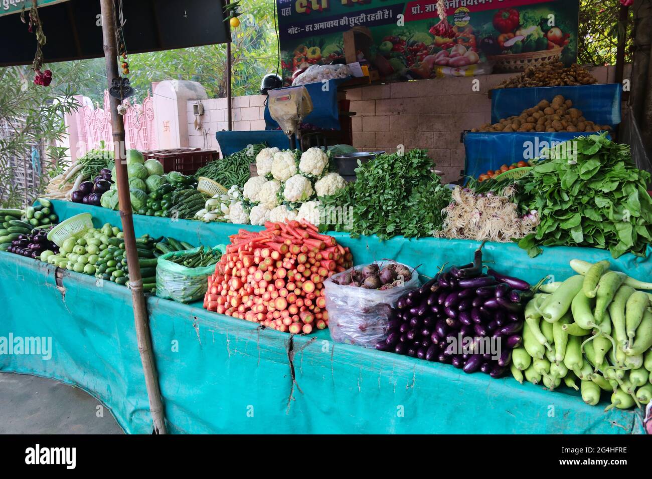 Haryana / Indien: Verkauf von Gemüse auf dem Markt. Karotten, Auberginen, Zucchini, Blumenkohl, Rüben, Gurken. Stockfoto