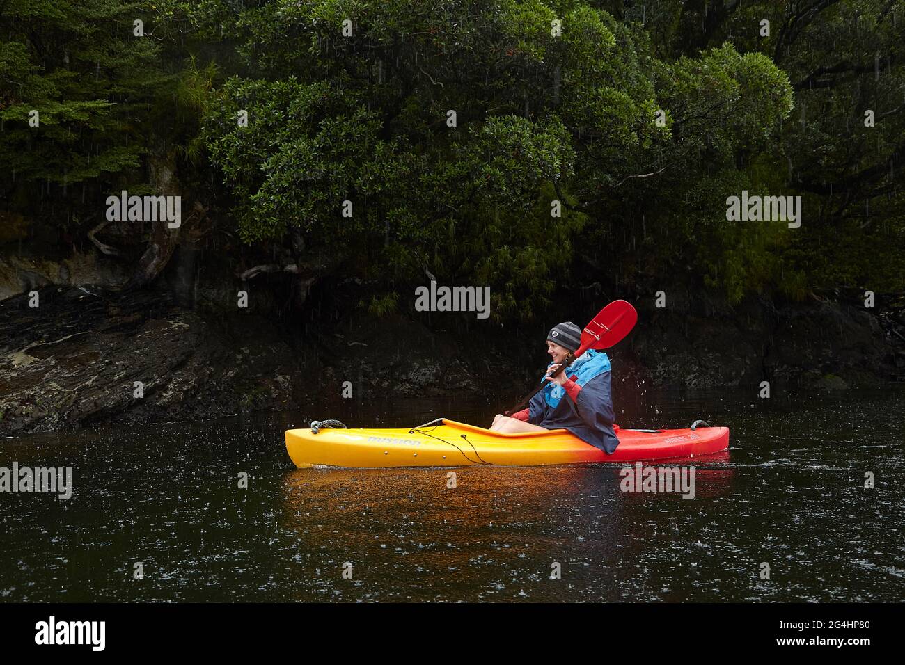 Kayaker, Doubtful Sound, Fiordland National Park, South Island, Neuseeland - MR Stockfoto