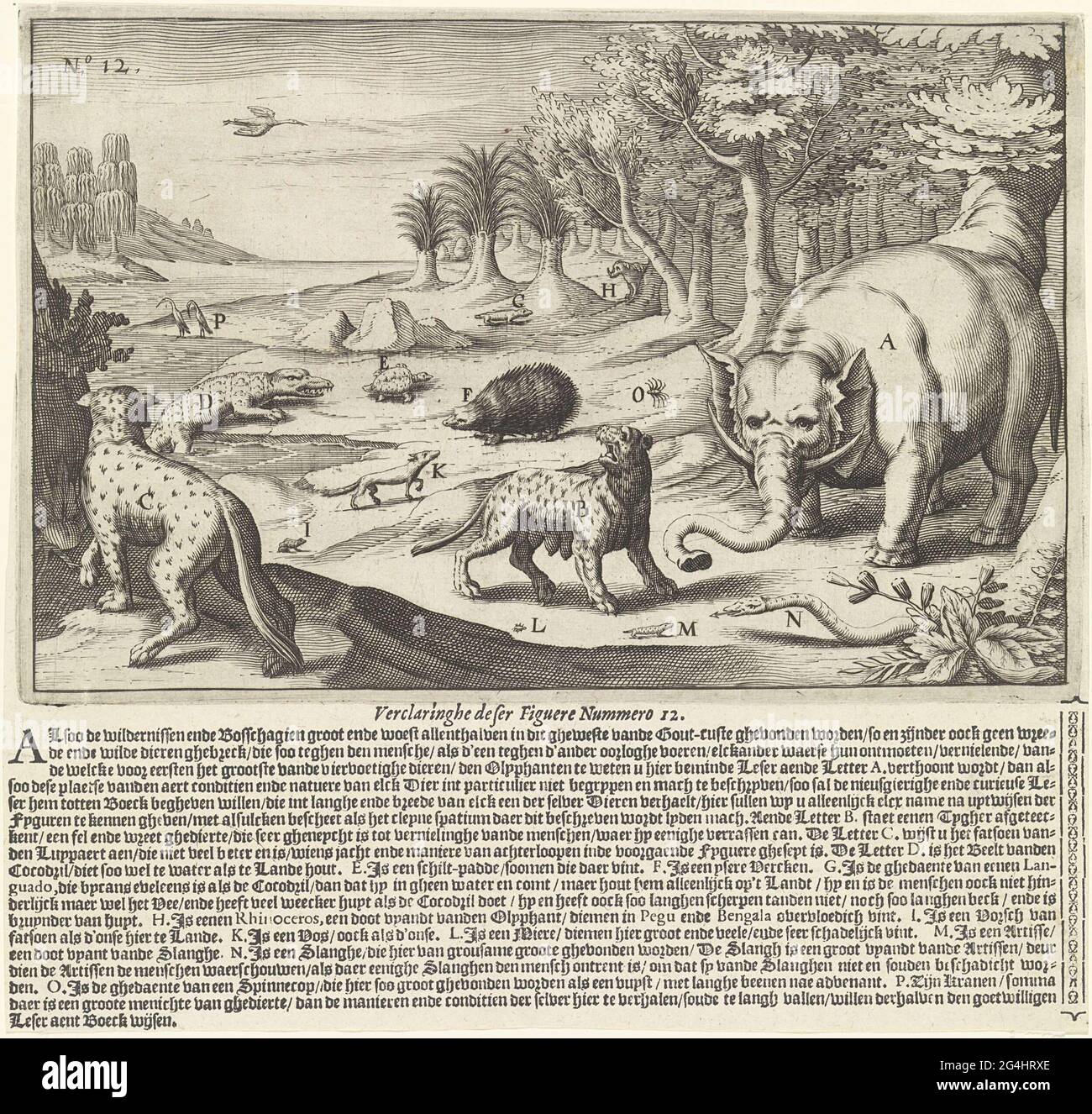. Verschiedene einheimische wilde und gefährliche Tiere in einer Landschaft an einem Fluss platziert. Rechts ein Elefant, links ein Leopard. Andere Tiere sind zum Beispiel: tiger (b), Krokodil (d), Schildkröte (e), Frosch (i), Schlauch (n), ant (l), Spin (o) und Krane (p). Stockfoto