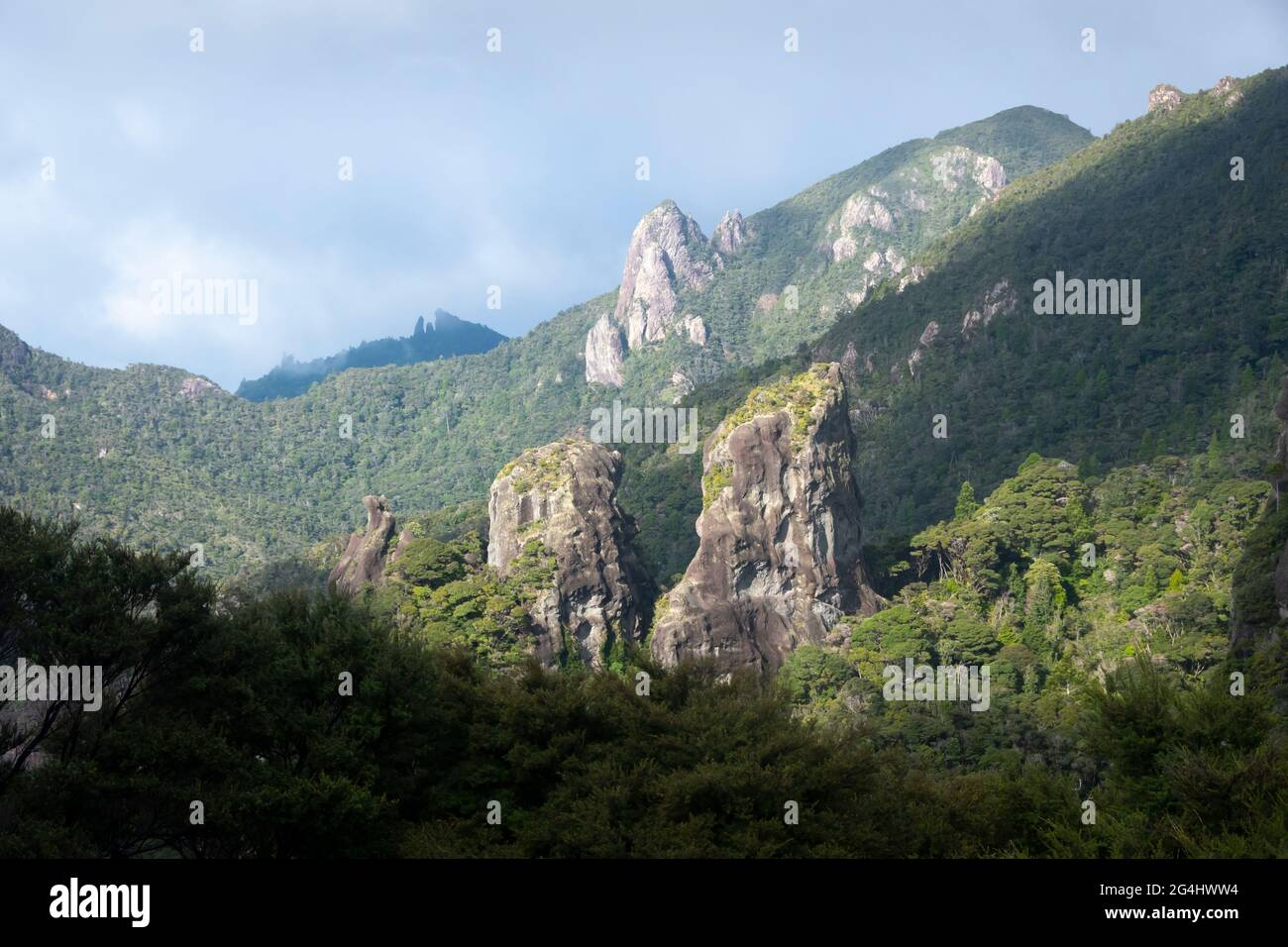 Felssäulen in der Nähe des Windy Canyon, der Great Barrier Island, des Hauraki Gulf, Neuseeland Stockfoto