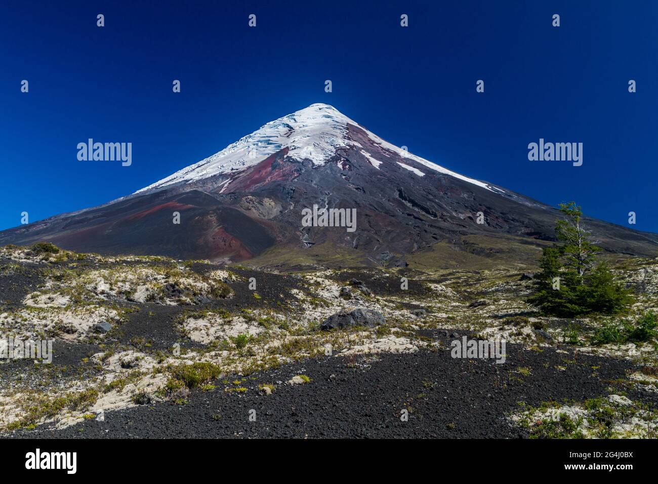 Blick auf den Vulkan Osorno, Chile Stockfoto