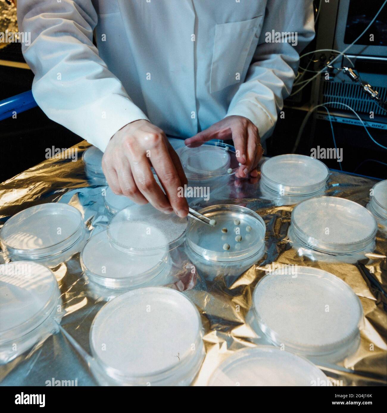 Samen in Petrischalen in der Millennium Seed Bank West Sussex, Wakehurst, England Stockfoto