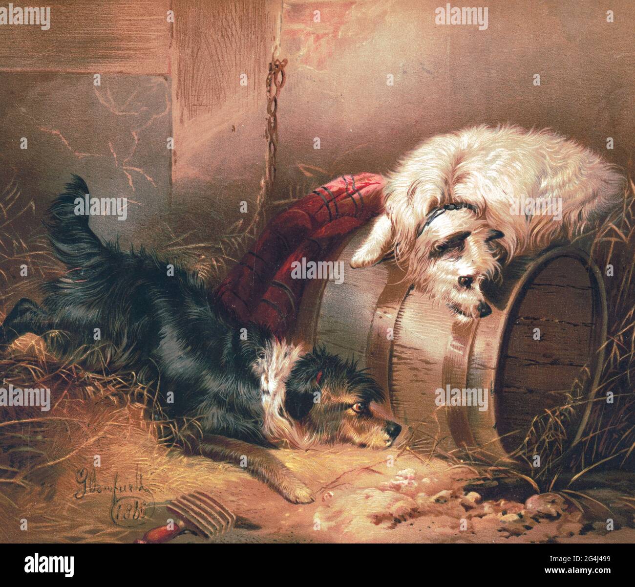 Große Erwartungen - Drucken zeigt zwei Hunde in einer Scheune, einer ruht  auf einem Fass und wartet geduldig in der Nähe eines Lochs im Boden, um  1876 Stockfotografie - Alamy