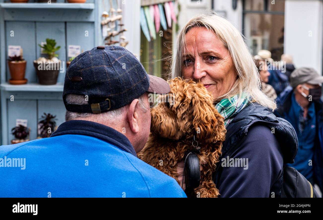 Paar auf dem Straßenmarkt mit Hund, Fowey, Cornwall Stockfoto