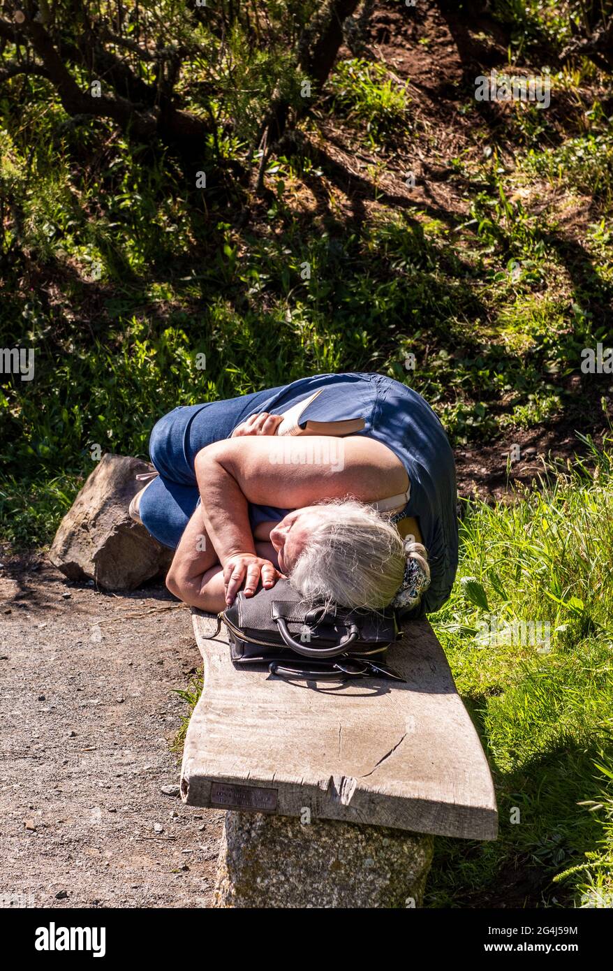 Frau, die auf einer Steinbank im Park liegt, The Lizard, Cornwall Stockfoto