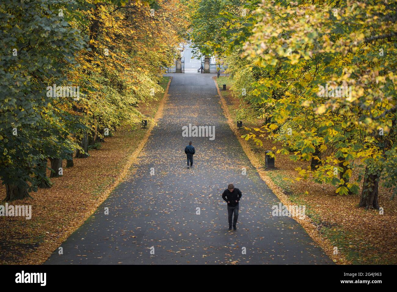 Herbst Park Stockfoto