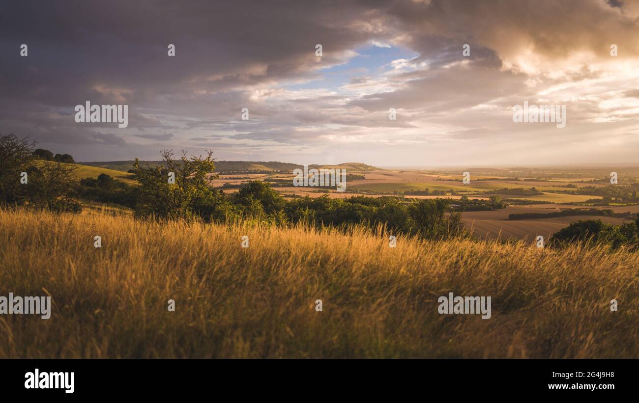 Dunstable Downs Sommer Stockfoto