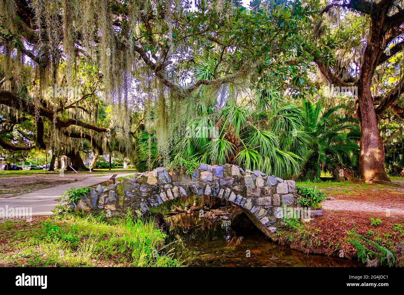 Goldfish Bridge führt zur Goldfish Island im New Orleans City Park, 14. November 2015, in New Orleans, Louisiana. Stockfoto