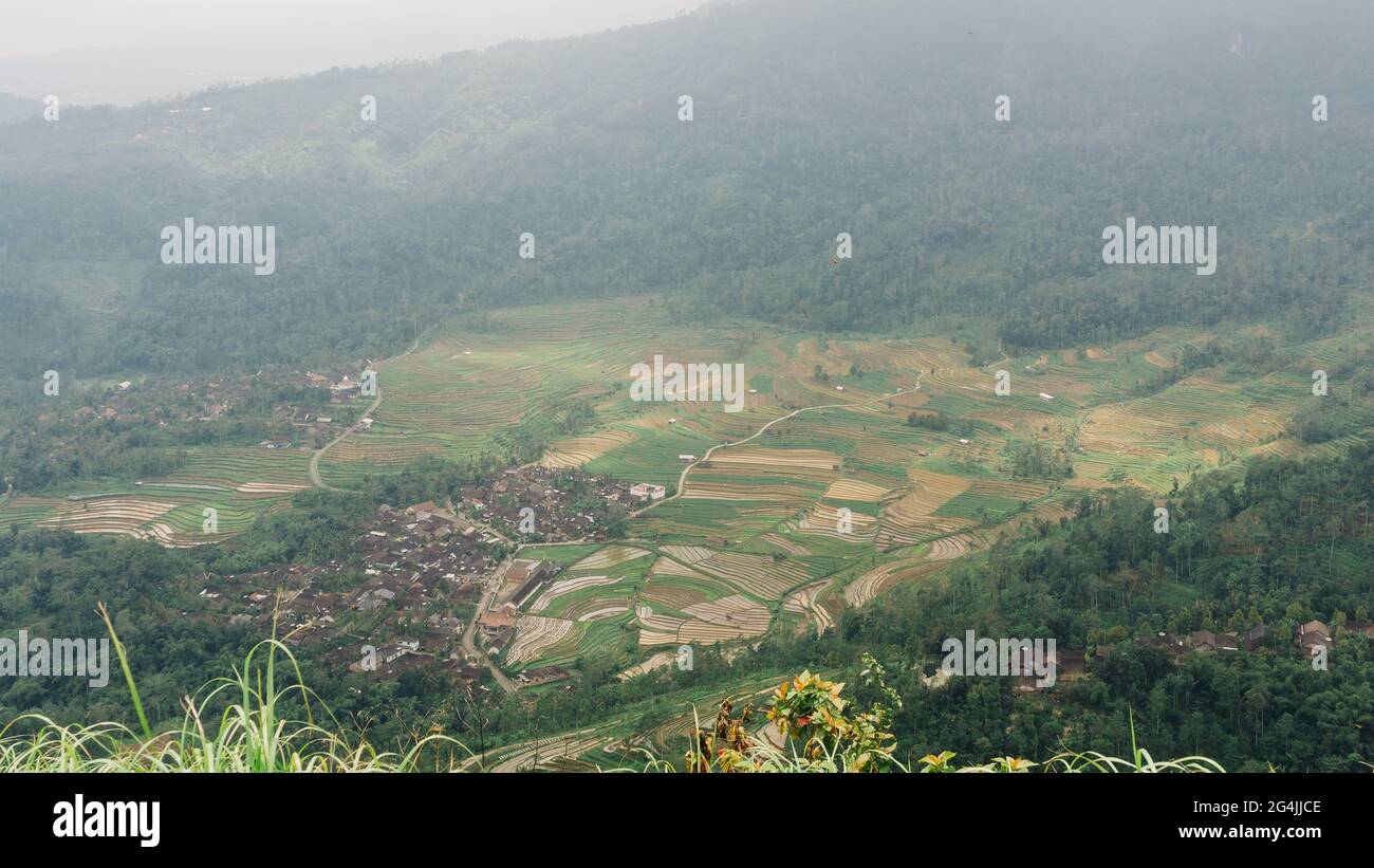 Eine Landschaft eines Reisfeldes auf einer Terrasse in einem Dorf, das vom Berggipfel von Kendil in Semarang, Indonesien, aus gesehen wird Stockfoto