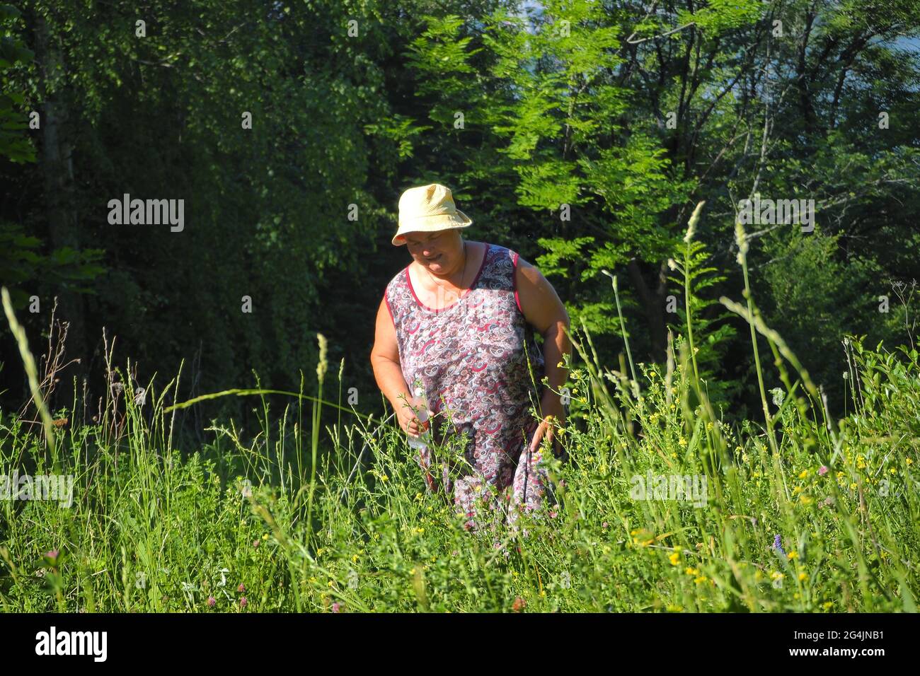 Russland Nischni Nowgorod 06.21.2021. Eine ländliche Frau im Sommer auf einem Feld. Eine Frau geht durch die Stockfoto