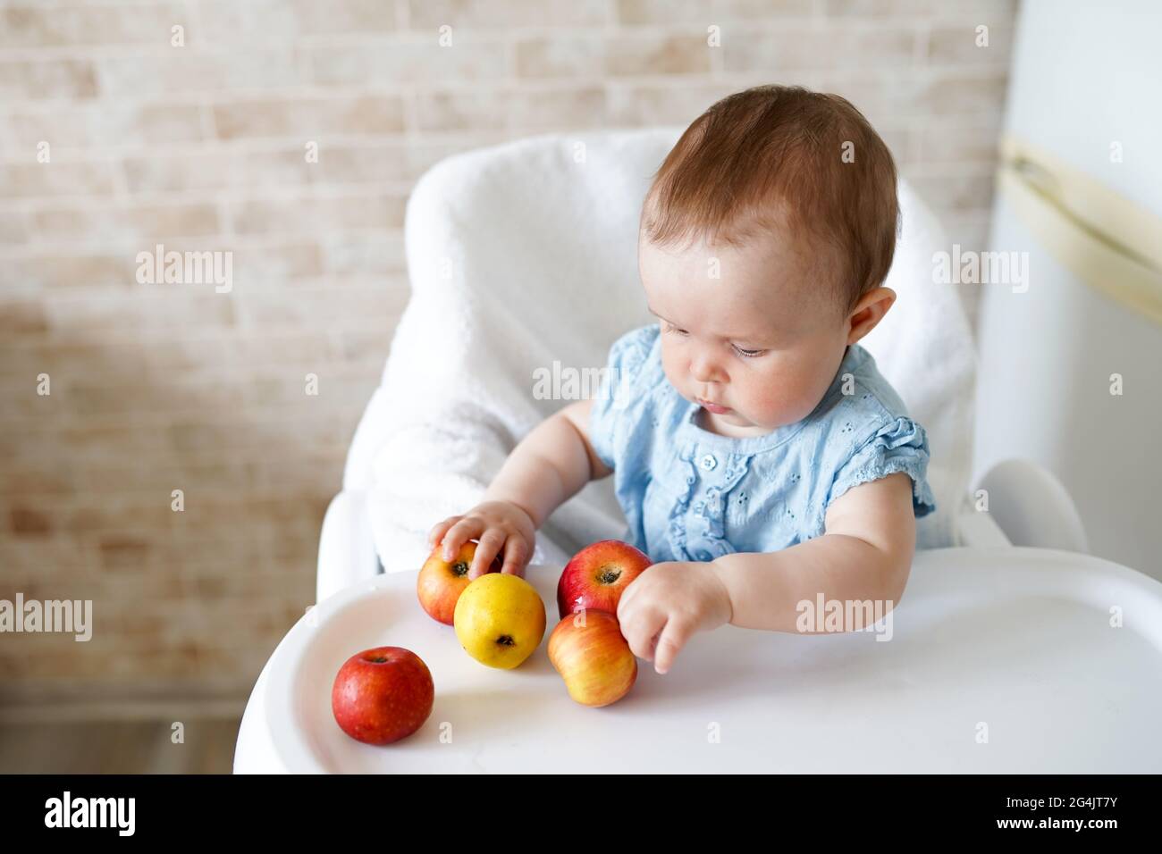 Baby, das Obst isst. Kleines Mädchen beißt gelben Apfel sitzen in weißen Hochstuhl in der sonnigen Küche. Gesunde Ernährung für Kinder. Feste Nahrung für Kleinkinder. Sn Stockfoto