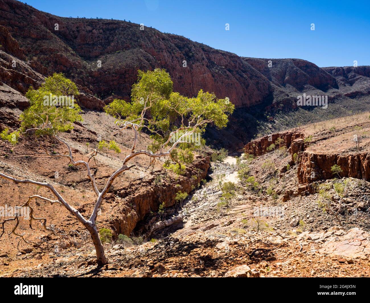 Ormiston Gorge vom Ghost Gum Lookout, Tjoritja / West MacDonnell National Park, Northern Territory Stockfoto