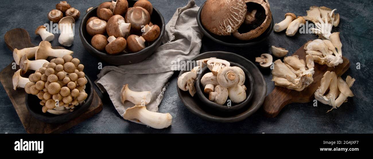 Auswahl an rohen Pilzen auf dunklem Hintergrund. Vegane Lebensmittel koknept. Panorama Stockfoto