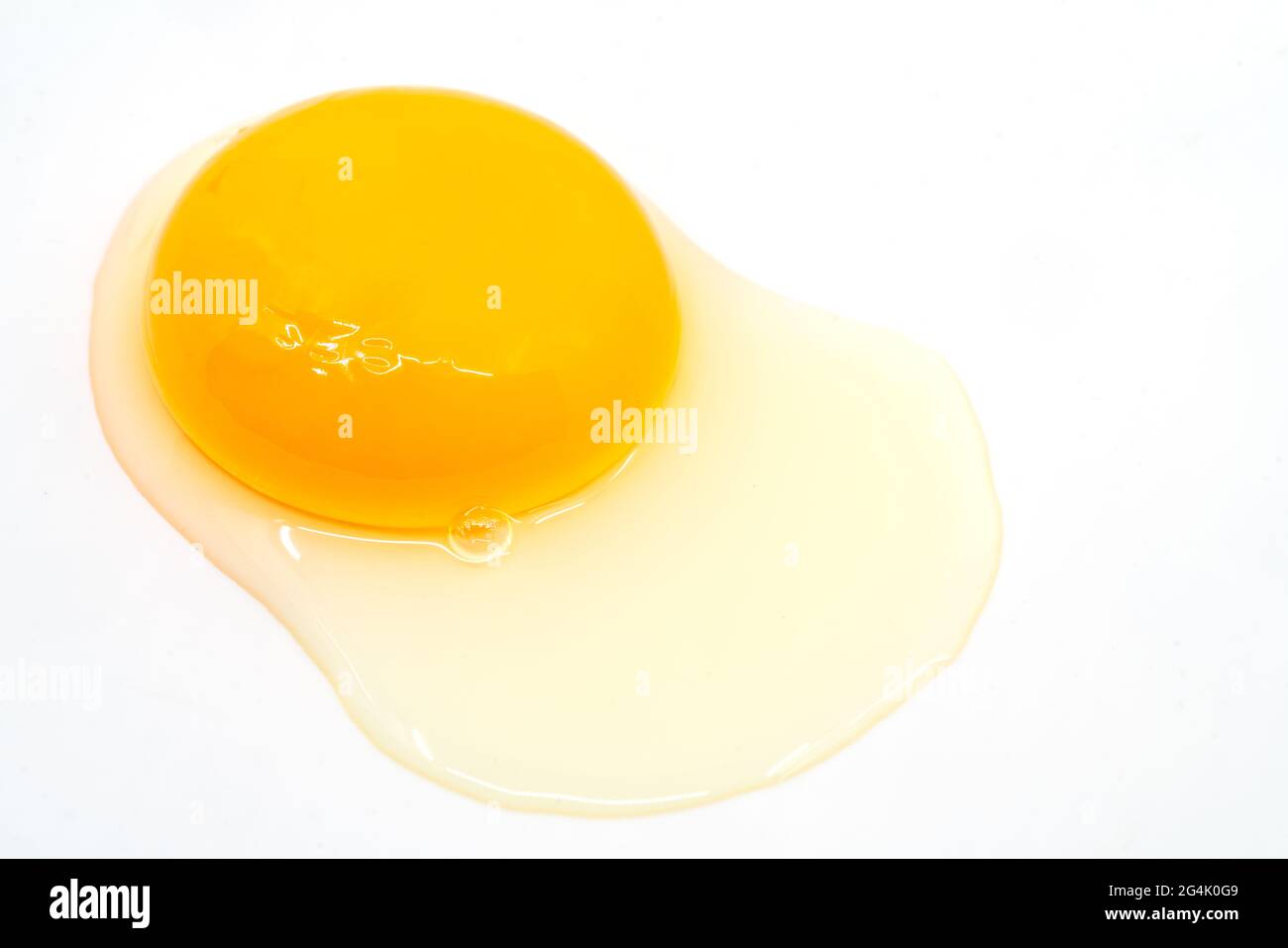 Isoliertes Makro ein rohes frisches Hühnereis auf weißem Hintergrund. Keine Eierschale im Bild. Stockfoto