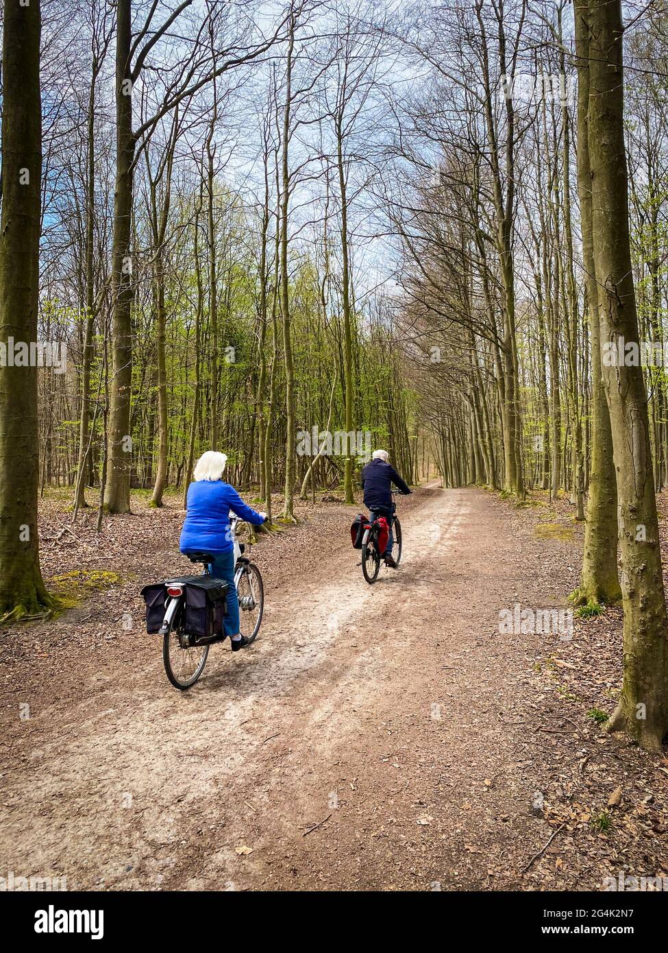 Zwei ältere kaukasische Menschen, die im Sonischen Wald, in der Nähe des belgischen Brüsseler Aera, Fahrrad fahren Stockfoto