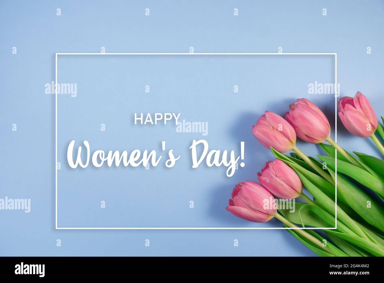 Rosa Tulpen Blumen auf blauem Hintergrund. Karte für Muttertag. Warten auf den Frühling. Gruß Weihnachtskarte. Frühlingsblumen Tulpen. Flach liegend, Draufsicht, Co Stockfoto