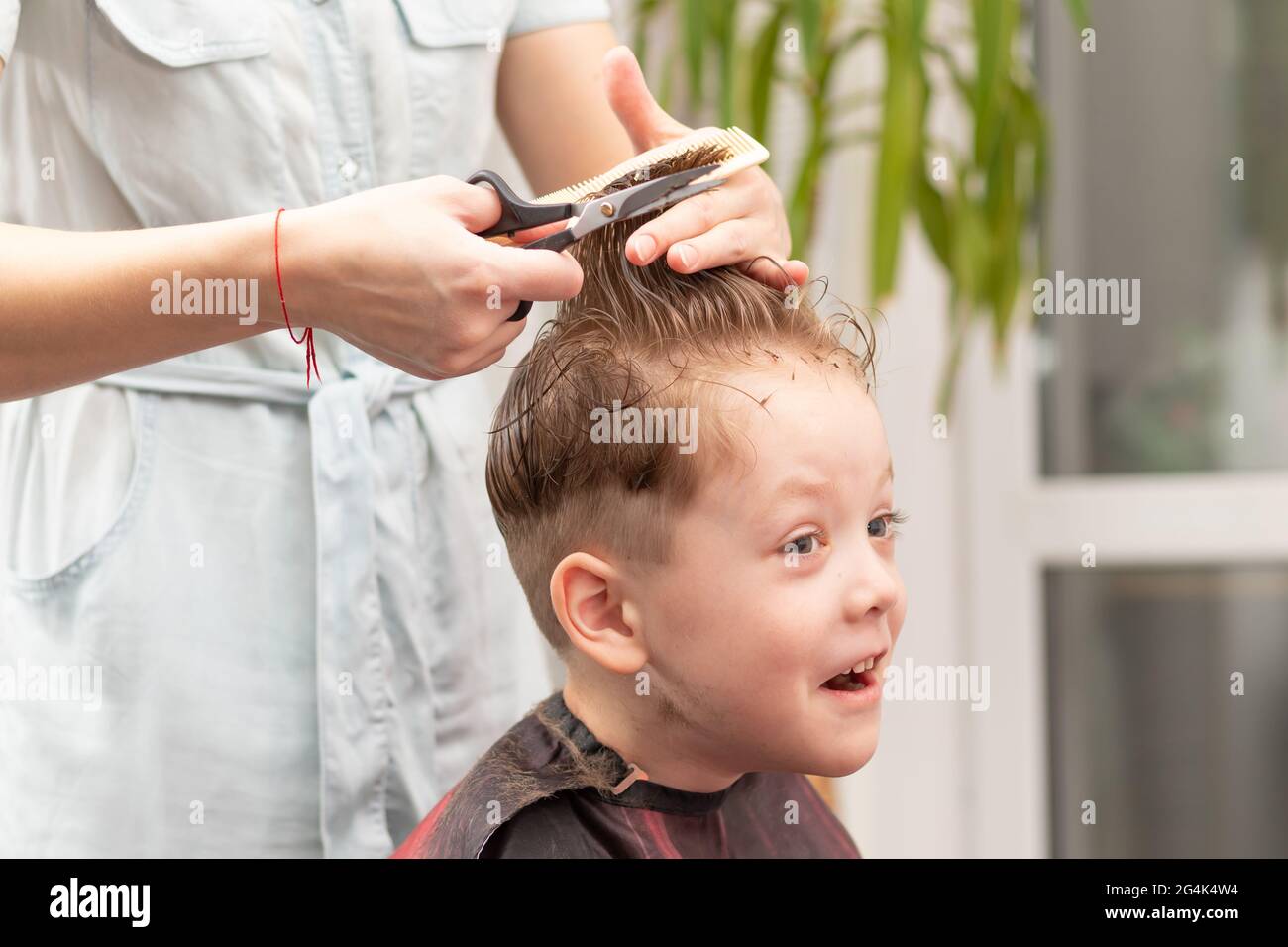 Fürsorgliche weibliche Hände einer Mutter mit Kamm und Schere machen einen modischen Haarschnitt für ihren Sohn zu Hause während der zweiten Sperre. Selektiver Fokus Stockfoto