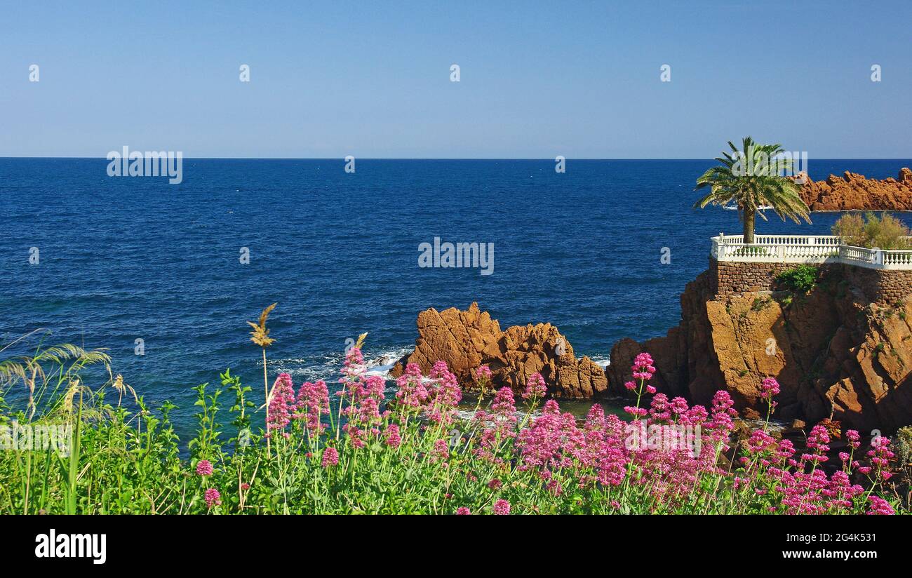 FRANKREICH. VAR (83). ESTEREL'S KÜSTE. GOLDENE GESIMS Stockfoto