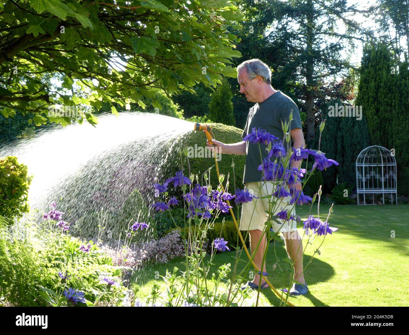Mann, der den Garten mit Schlauchleitung bewässert Stockfoto