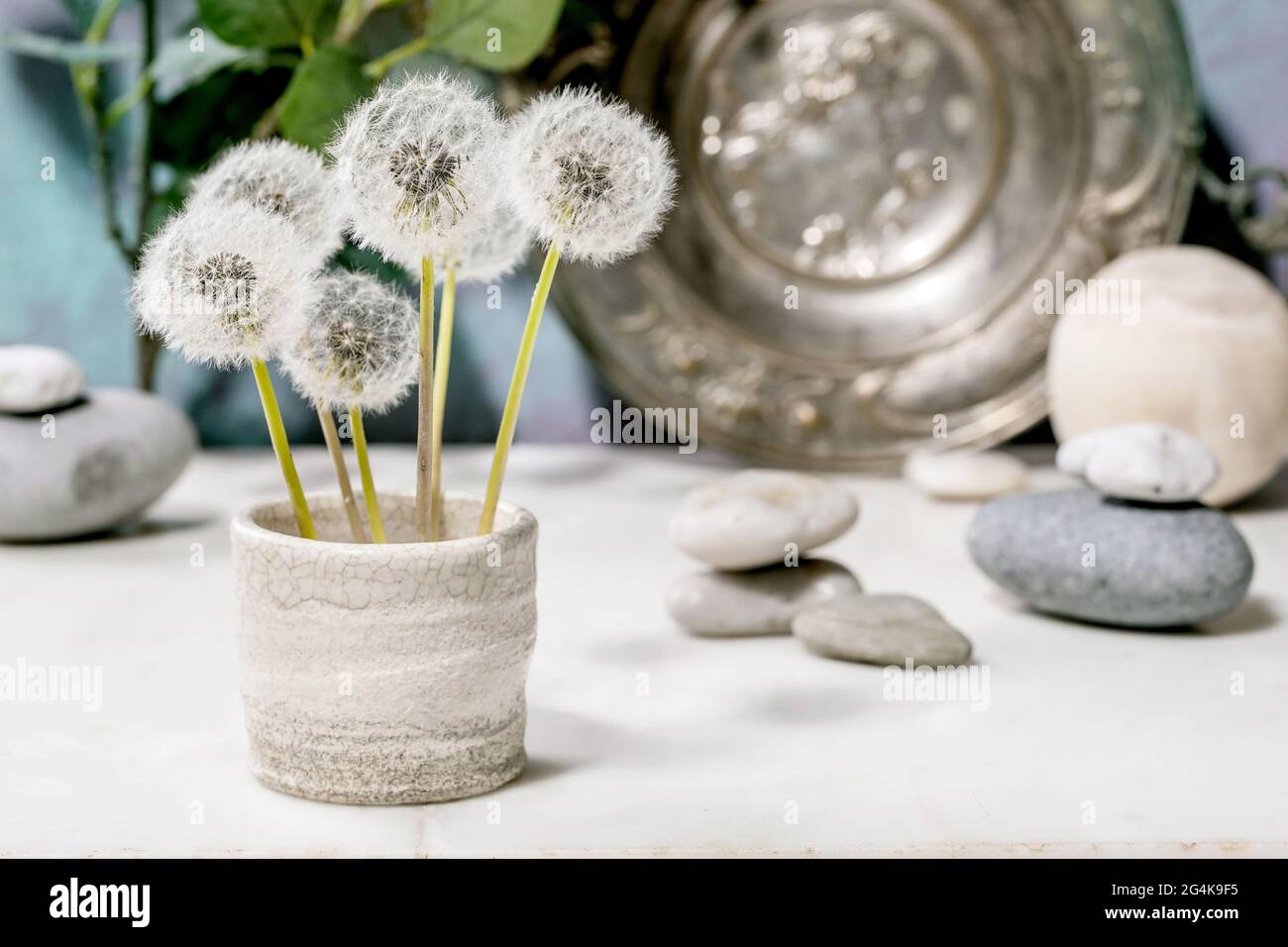Stillleben mit blühenden flauschigen Dandelions-Blüten in handgefertigter Keramik Topf mit glatten Steinen und Metallplatte über weißem Marmor Tabelle Stockfoto