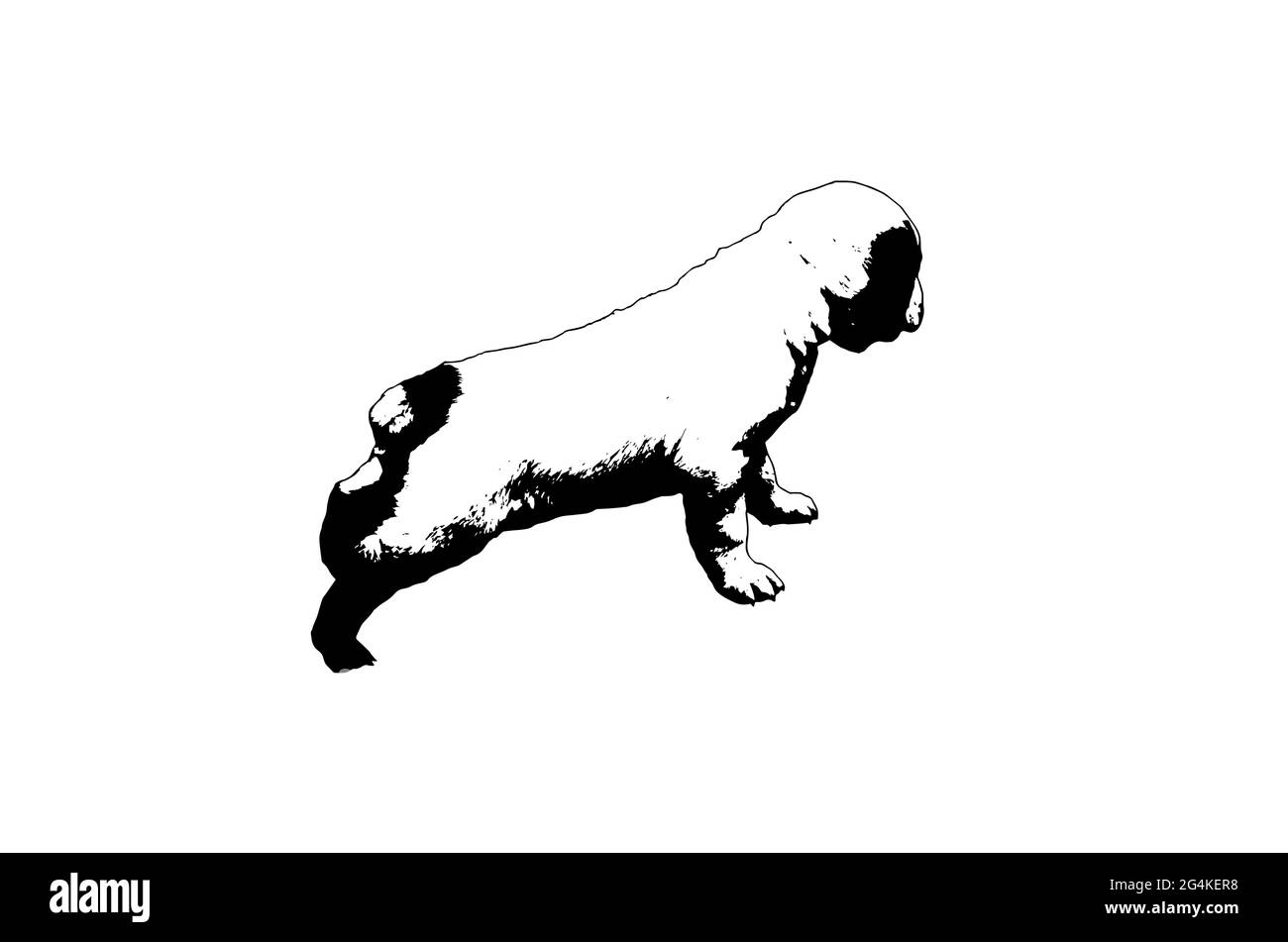 Silhouette eines zentralasiatischen Schäfers auf weißem Hintergrund. Puppy Turkmen Alabai mit verkürzter Rute. Hundezucht, Zwinger. Haustiere. Blick von der Seite. Stock Vektor