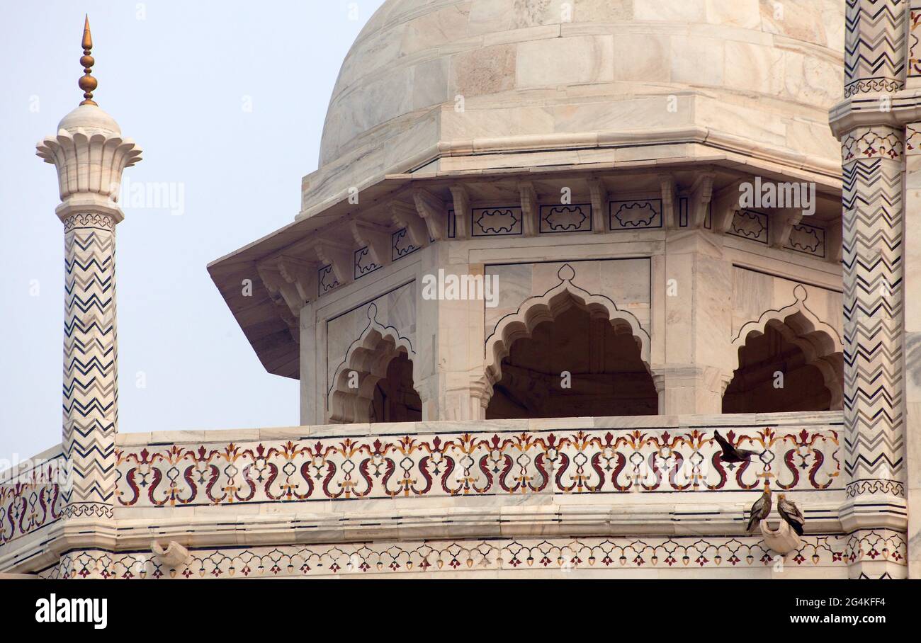 Taj Mahal, Detail der Marmorwand, das Beste der indischen historischen Sehenswürdigkeiten, UNESCO Stockfoto