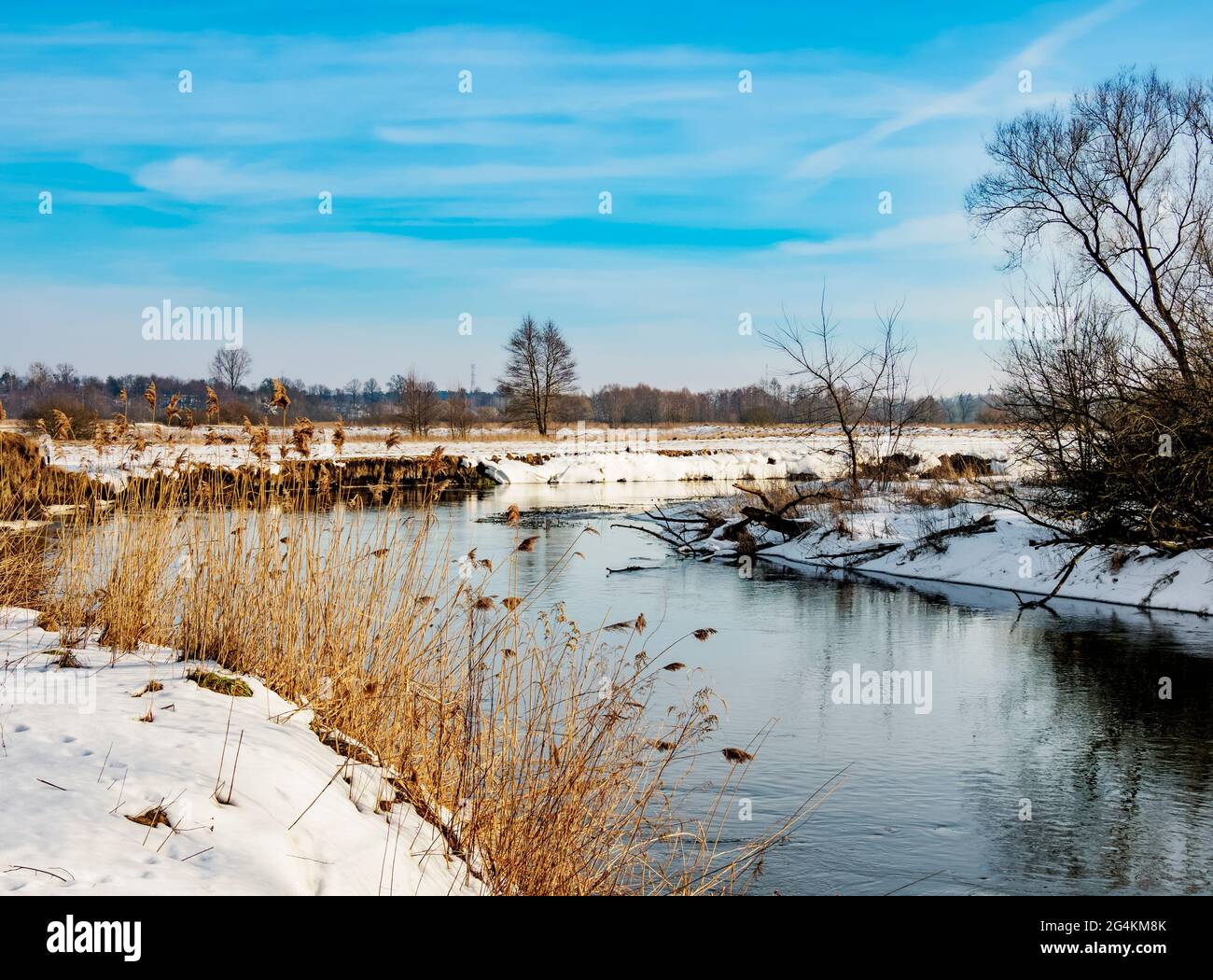 Fluss Wieprz im Winter, Zawieprzyce, Woiwodschaft Lublin, Polen Stockfoto