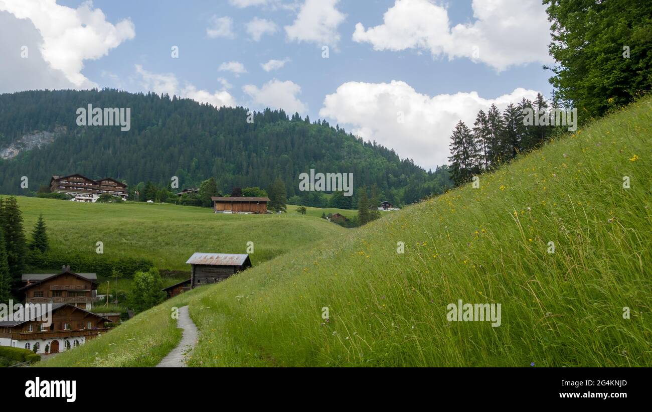 Alpenlandschaft mit Chalets im Sommer Stockfoto