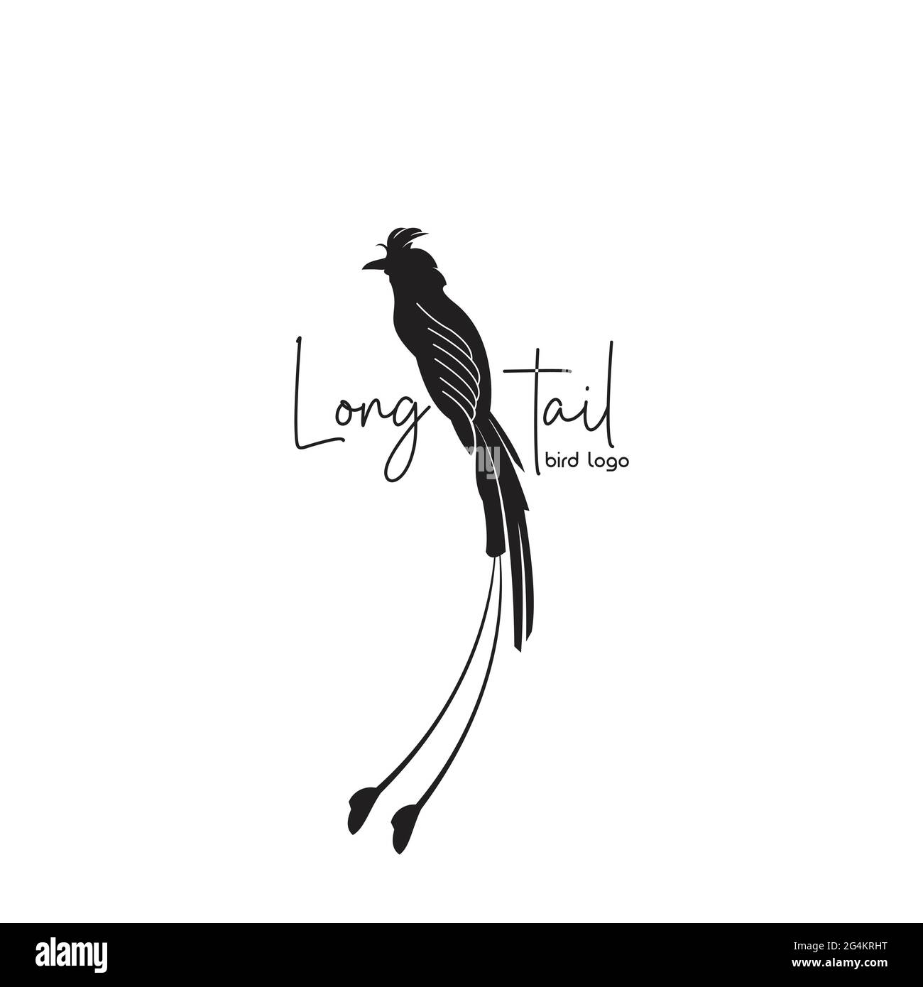 Long Tail Bird Logo – exklusive Designinspiration Stock Vektor