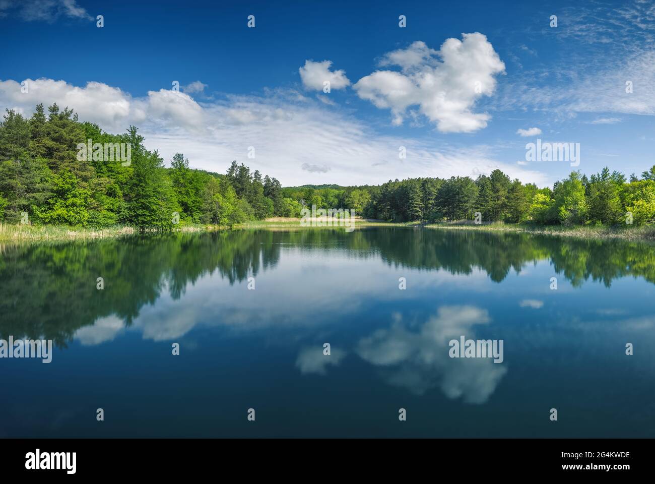 Panoramablick auf den See. Stockfoto