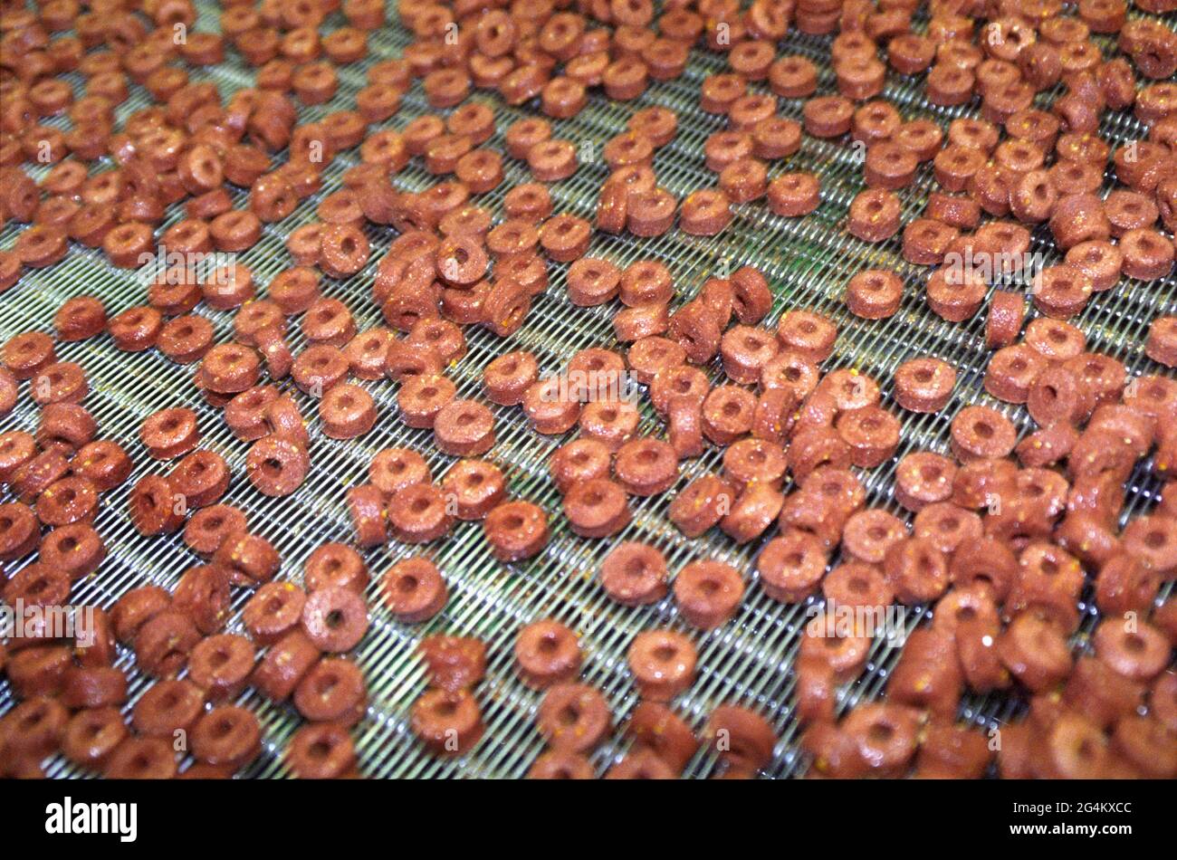 Tierfutter-Industrie, Fa. Masterfood in Verden, Herstellung von Hundefutter FROLIC. Stockfoto