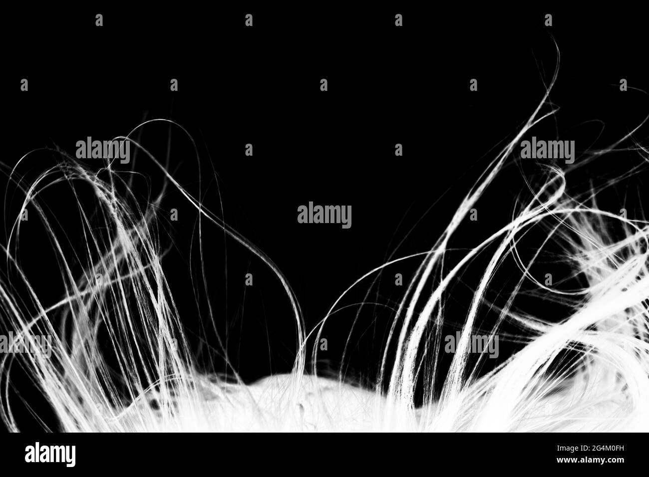 Abstrakte windige Haarstruktur. Umgekehrte Silhouette. Stockfoto