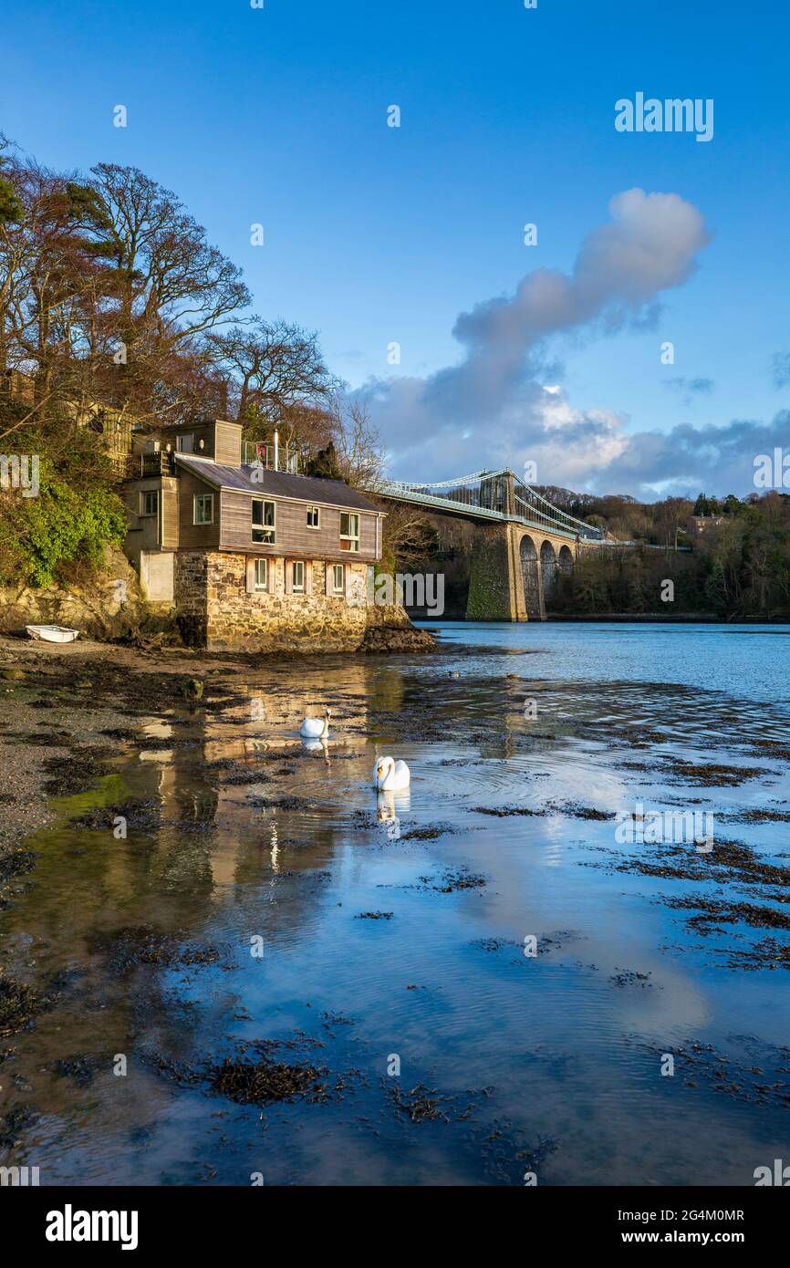 Die Menai Bridge von der Belgischen Promenade am Wales Coast Path, Angelsey, Nordwales Stockfoto