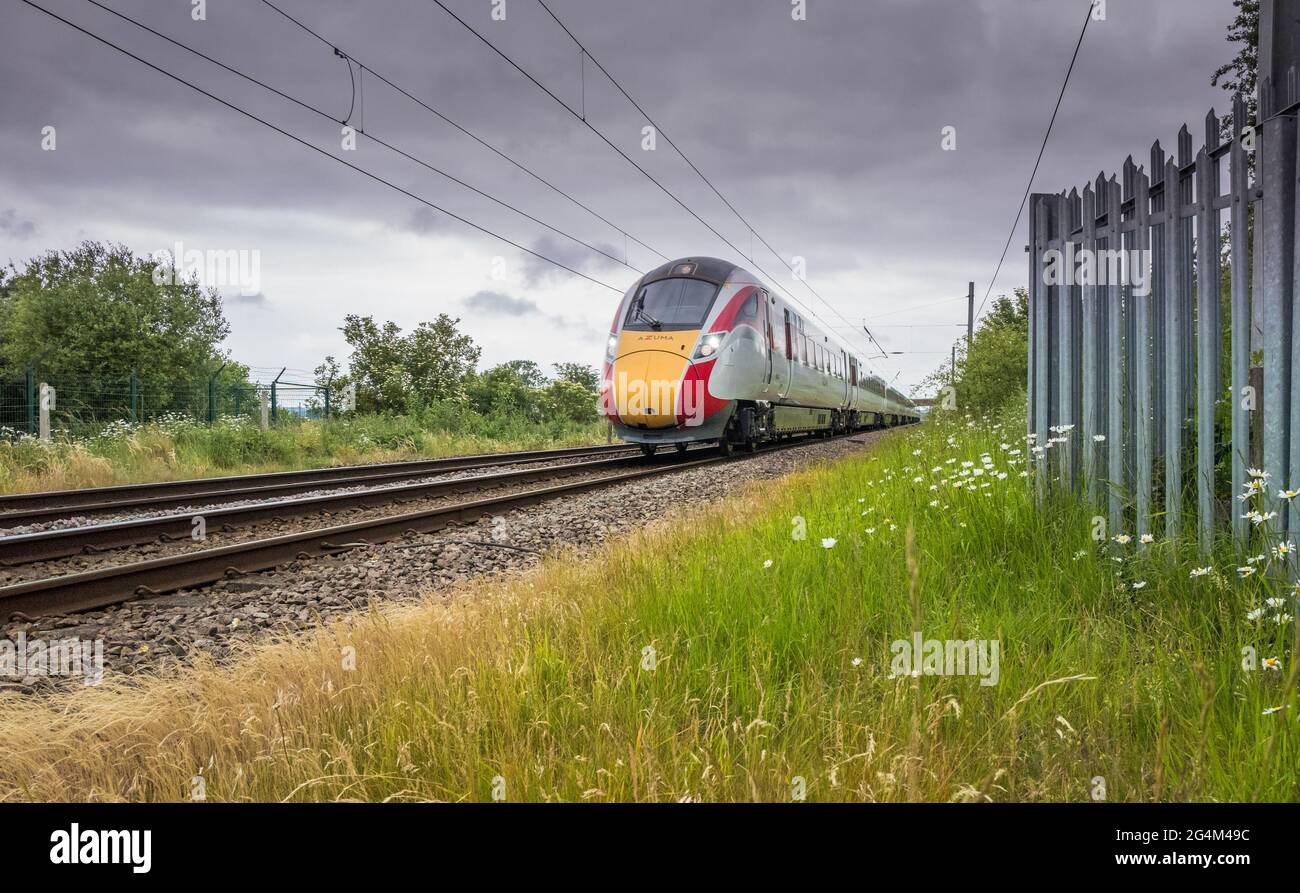 Der neue elektrische LNER Azuma-Zug, der auf der East Coast Mainline, England, Großbritannien und exeye-Gänseblümchen eingesetzt wird. Stockfoto