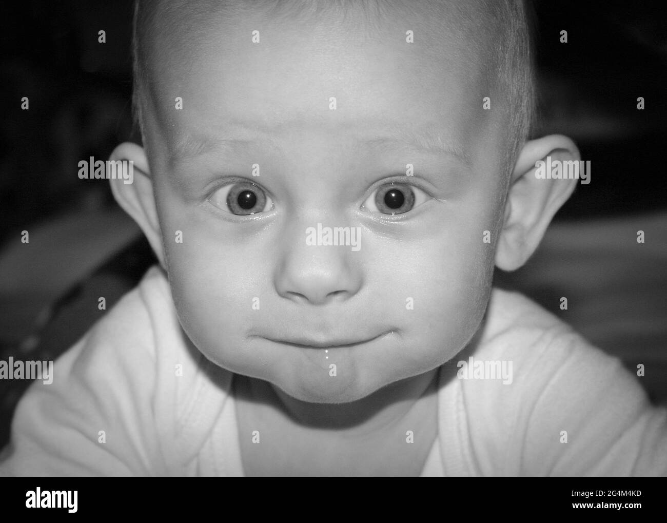 Fünf Monate alter Junge starrt direkt auf das Objektiv, monochromes Bild Stockfoto