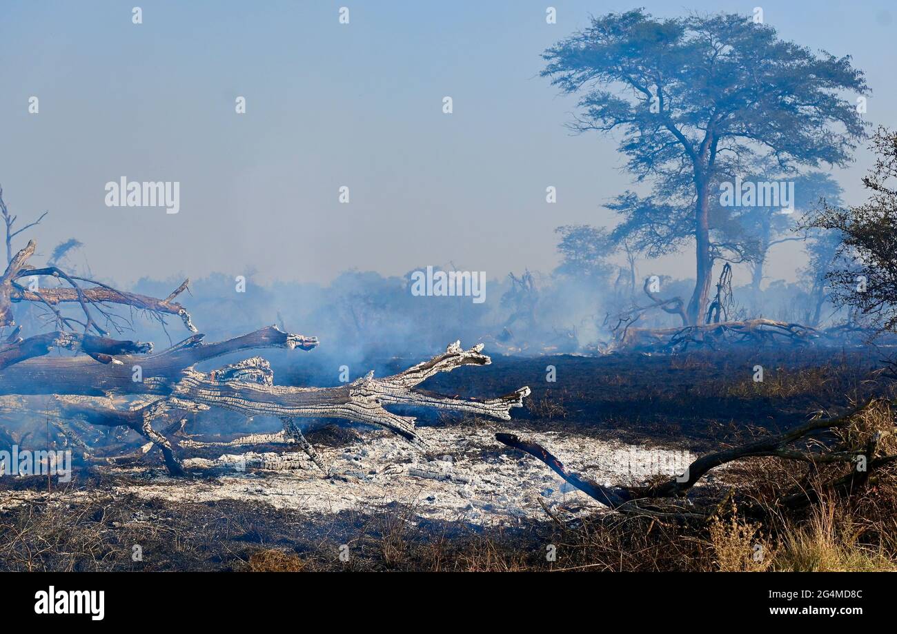 Südafrika Stockfoto