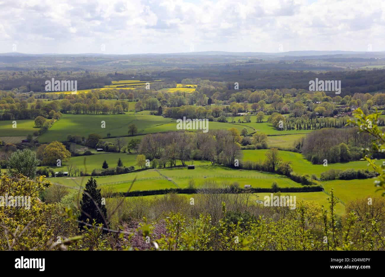 Der Blick von One Tree Hill Woodland, bei Sevenoaks, nach Süden über den Weald of Kent, England. Stockfoto