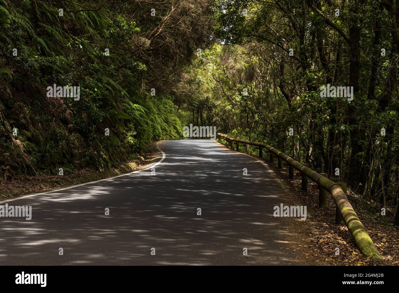 Schmale kurvenreiche Straße durch den Landpark Anaga, Teneriffa, Kanarische Inseln, Spanien Stockfoto