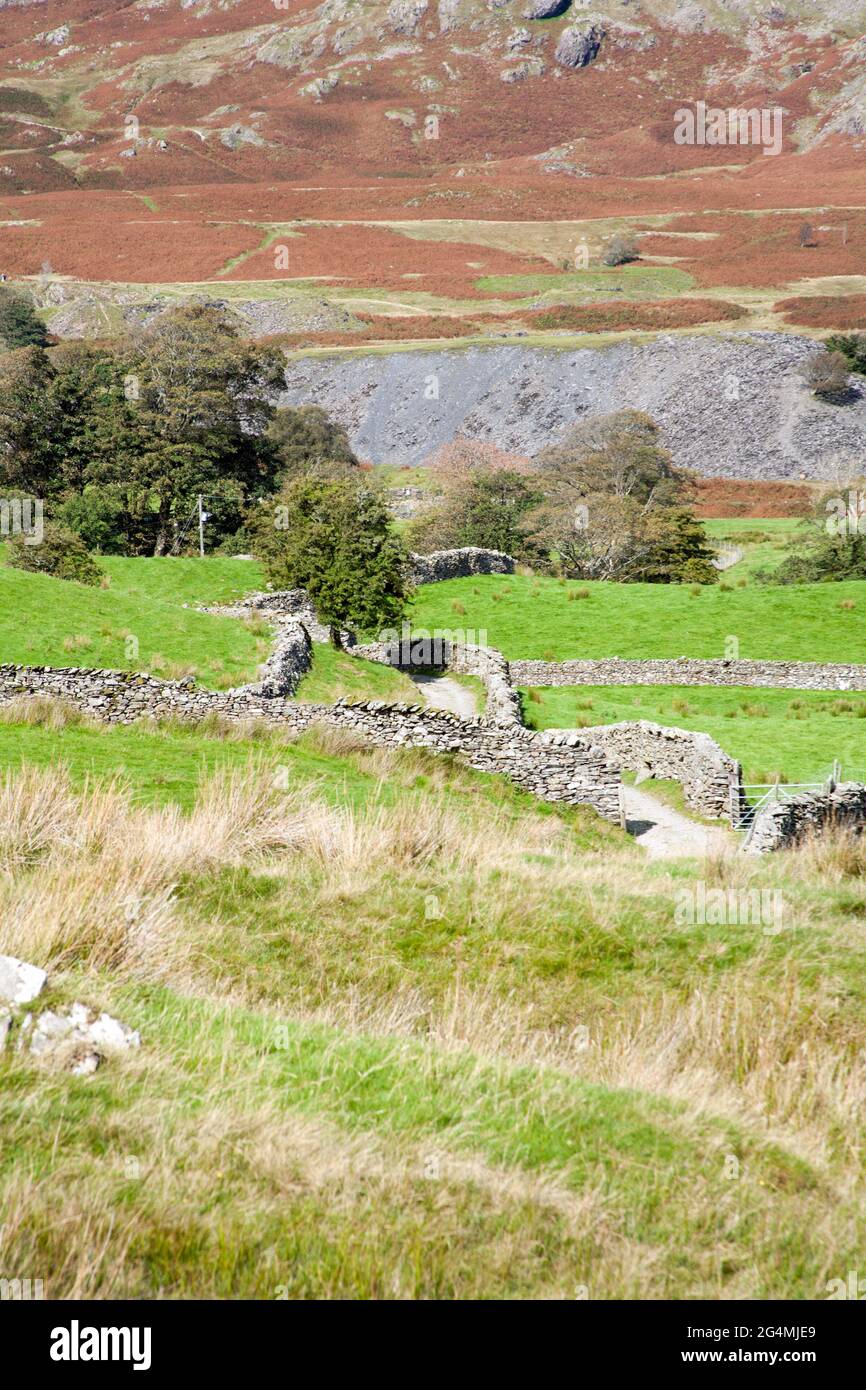 Steinbruch Beute Haufen in der Nähe von Torver Beck unter dem alten Mann von Coniston der Lake District Cumbria England Stockfoto