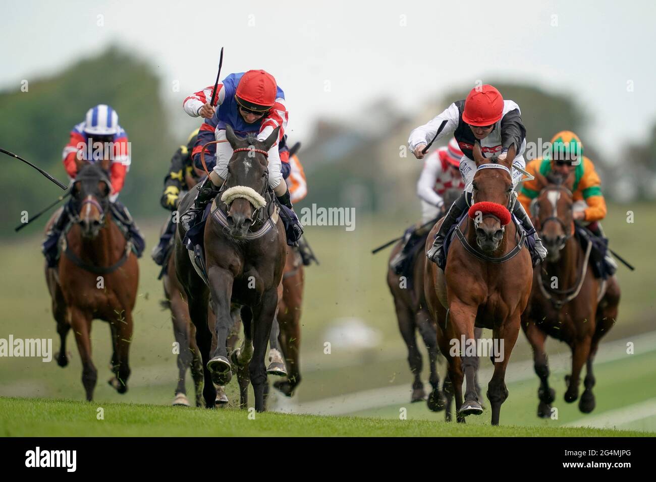 Lady Monica unter Jockey Frederick Larson (links) gewinnt das Download the At the Races App Handicap (Div 1) auf der Rennbahn von Brighton. Bilddatum: Dienstag, 22. Juni 2021. Stockfoto