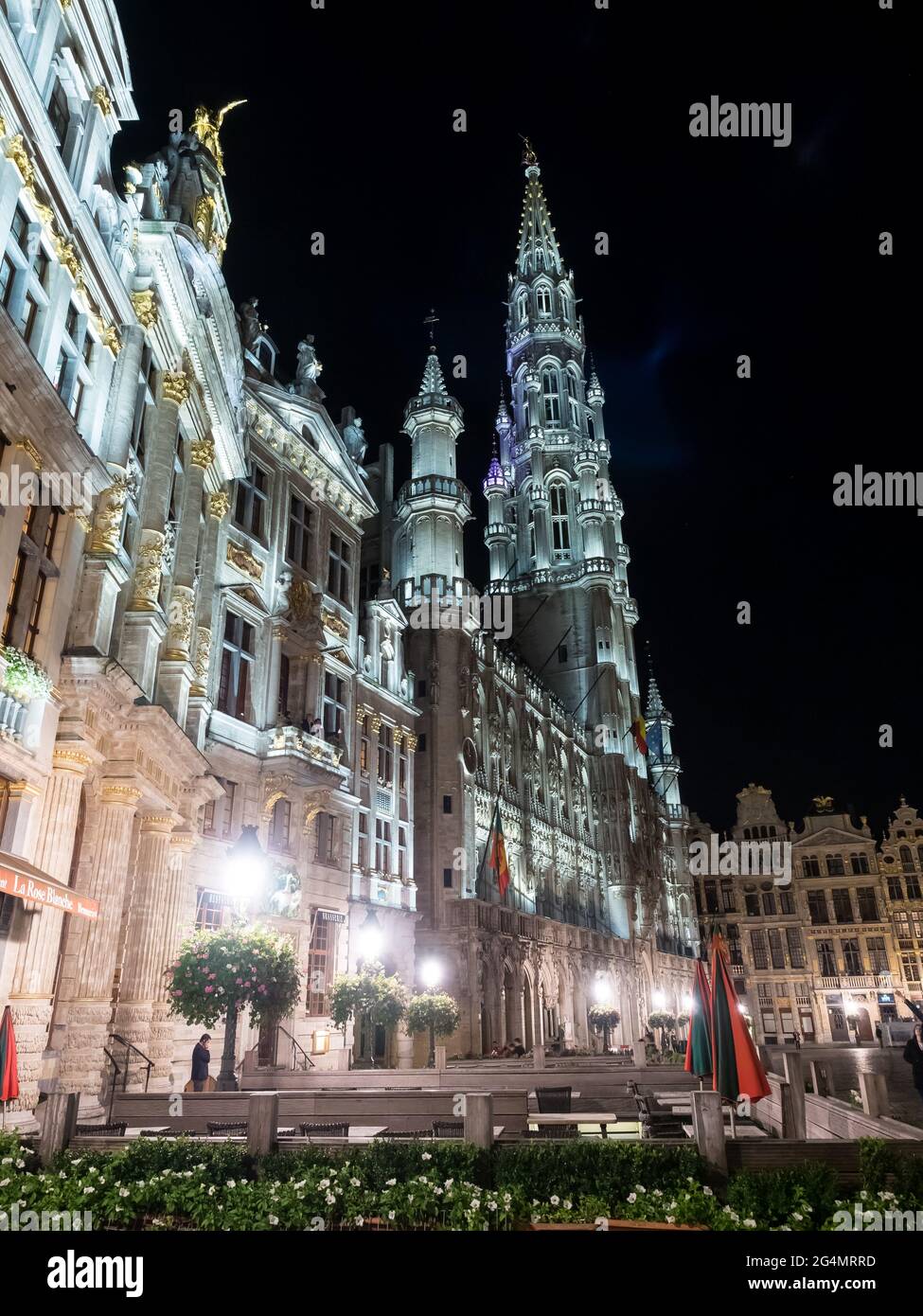 Der Grand Place ist ein wunderschönes und elegantes Wahrzeichen in Brüssel, Belgien, unter dunklem Nachthimmel Stockfoto