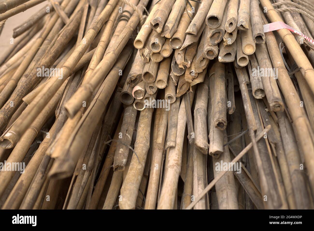 Ein Stapel von Bambusstäben bereit für den Einsatz in Gerüsten in chinesischen traditionellen Bausystemen Stockfoto