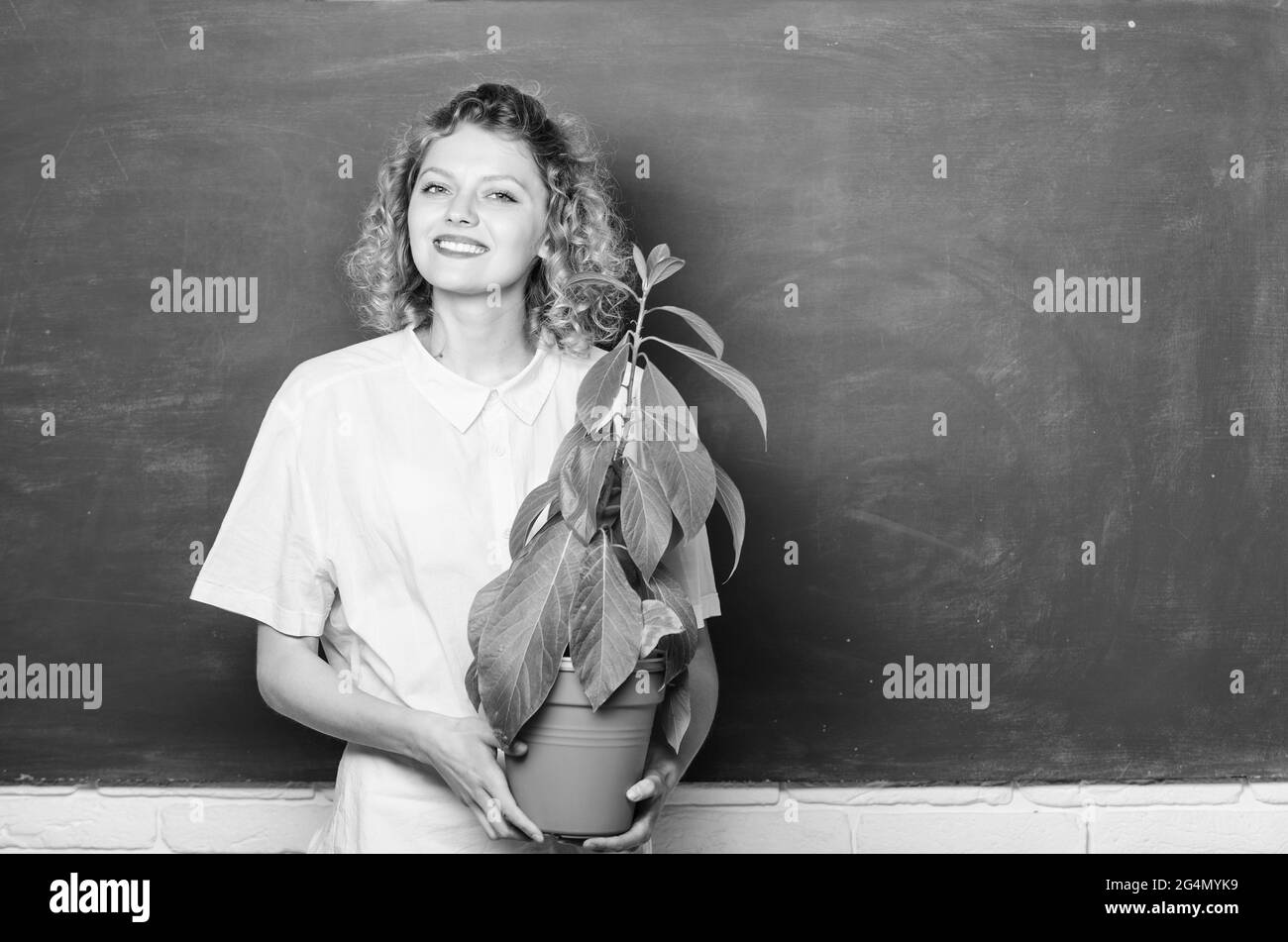 Glückliche Schüler Mädchen mit Pflanze an der Tafel. Baum des Wissens. Schule lernen Ökologie. Schule Naturstudium. Umweltbildung. Lehrerin Frau Stockfoto